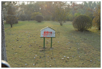 single-image