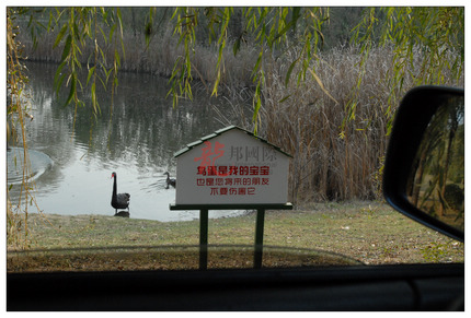 single-image