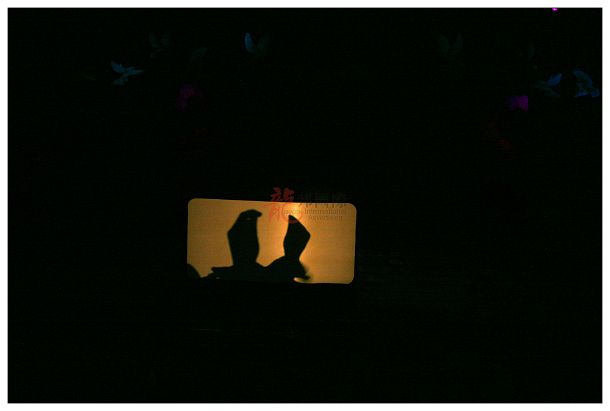 single-image